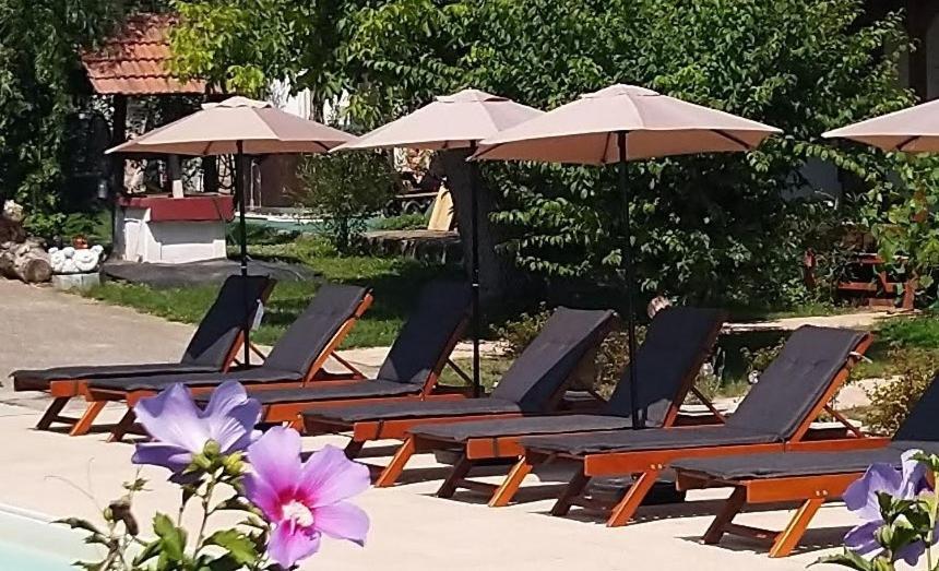 Remser Haus زلاكاروس المظهر الخارجي الصورة